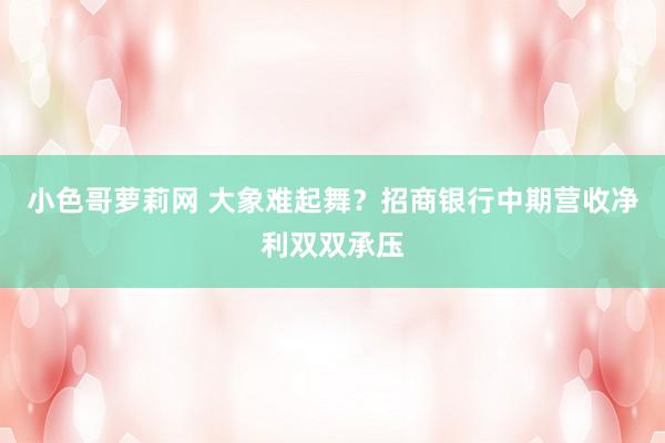 小色哥萝莉网 大象难起舞？招商银行中期营收净利双双承压
