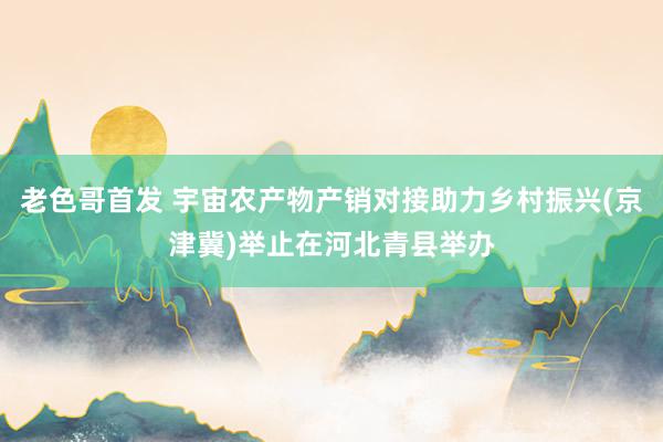 老色哥首发 宇宙农产物产销对接助力乡村振兴(京津冀)举止在河北青县举办