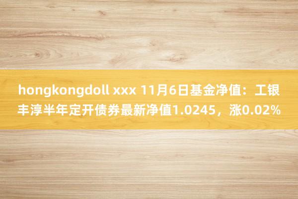 hongkongdoll xxx 11月6日基金净值：工银丰淳半年定开债券最新净值1.0245，涨0.02%