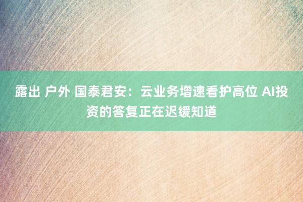 露出 户外 国泰君安：云业务增速看护高位 AI投资的答复正在迟缓知道