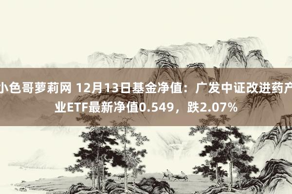 小色哥萝莉网 12月13日基金净值：广发中证改进药产业ETF最新净值0.549，跌2.07%