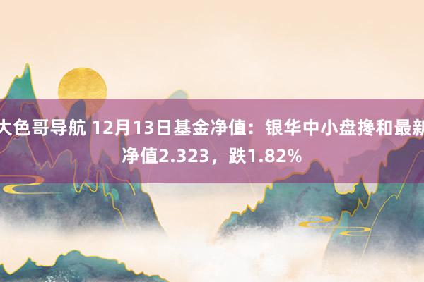 大色哥导航 12月13日基金净值：银华中小盘搀和最新净值2.323，跌1.82%