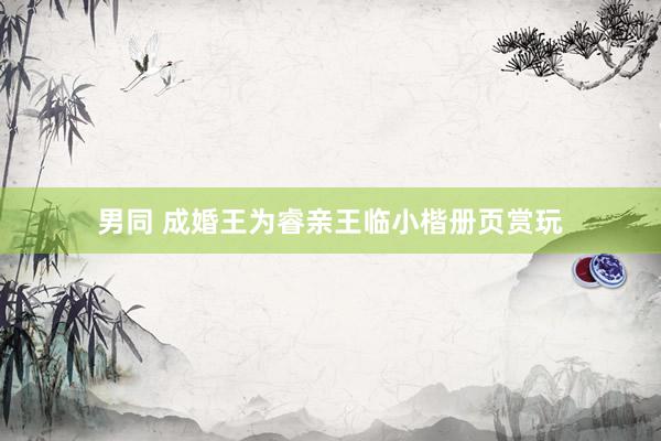 男同 成婚王为睿亲王临小楷册页赏玩