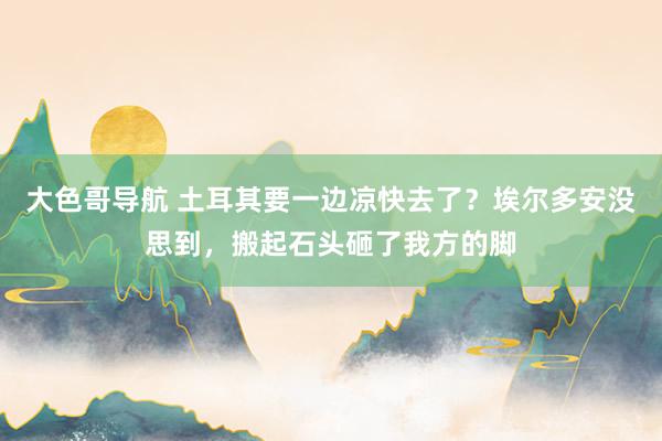 大色哥导航 土耳其要一边凉快去了？埃尔多安没思到，搬起石头砸了我方的脚