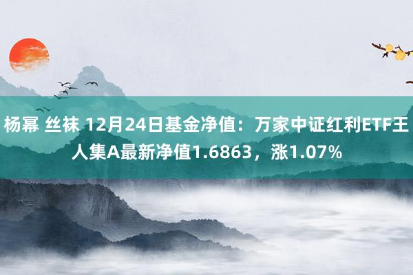 杨幂 丝袜 12月24日基金净值：万家中证红利ETF王人集A最新净值1.6863，涨1.07%