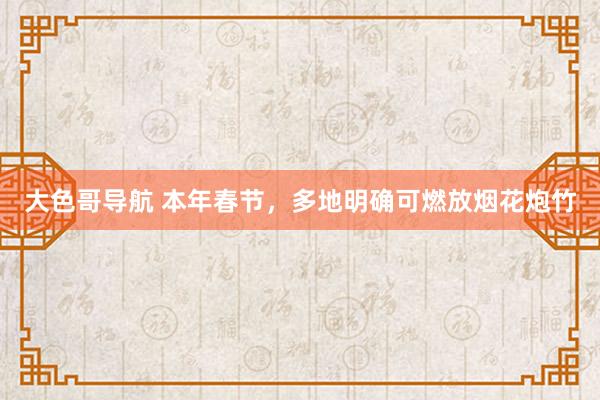 大色哥导航 本年春节，多地明确可燃放烟花炮竹
