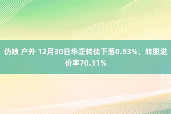 伪娘 户外 12月30日华正转债下落0.93%，转股溢价率70.31%