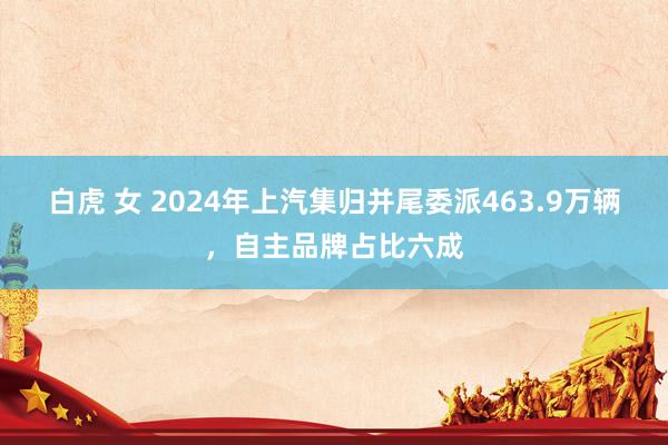 白虎 女 2024年上汽集归并尾委派463.9万辆，自主品牌占比六成