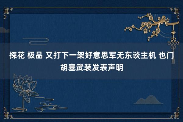 探花 极品 又打下一架好意思军无东谈主机 也门胡塞武装发表声明