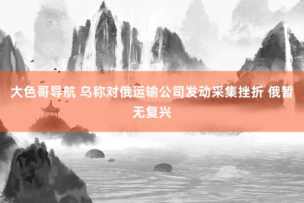 大色哥导航 乌称对俄运输公司发动采集挫折 俄暂无复兴