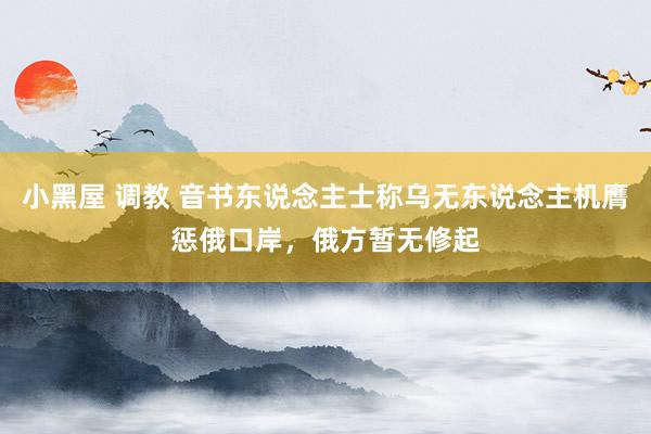 小黑屋 调教 音书东说念主士称乌无东说念主机膺惩俄口岸，俄方暂无修起