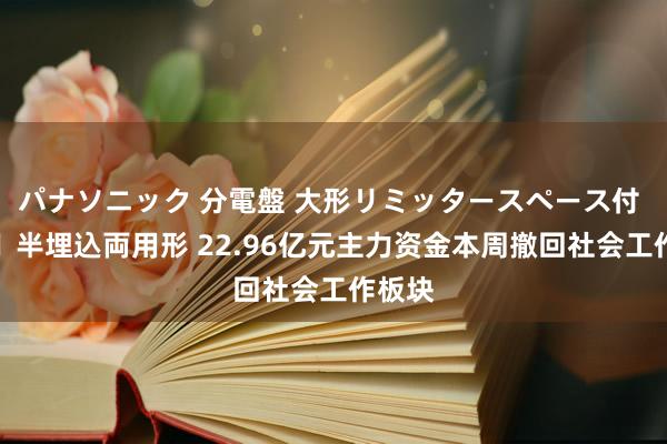 パナソニック 分電盤 大形リミッタースペース付 露出・半埋込両用形 22.96亿元主力资金本周撤回社会工作板块