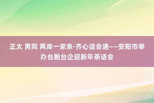 正太 男同 两岸一家亲·齐心话会通——安阳市举办台胞台企迎新年茶话会