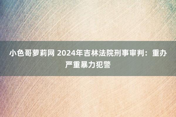 小色哥萝莉网 2024年吉林法院刑事审判：重办严重暴力犯警