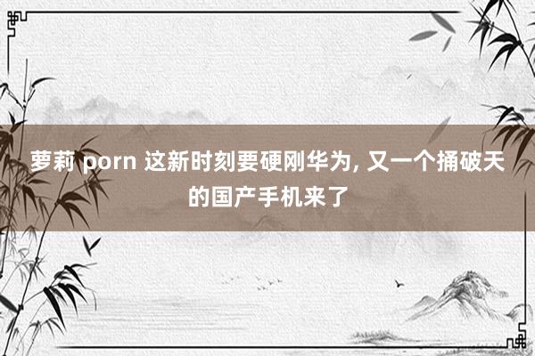 萝莉 porn 这新时刻要硬刚华为， 又一个捅破天的国产手机来了
