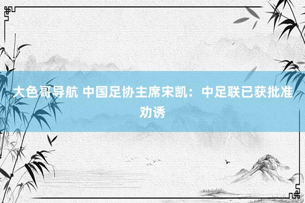 大色哥导航 中国足协主席宋凯：中足联已获批准劝诱