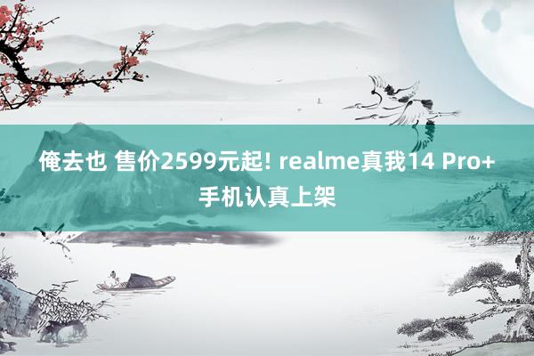 俺去也 售价2599元起! realme真我14 Pro+手机认真上架