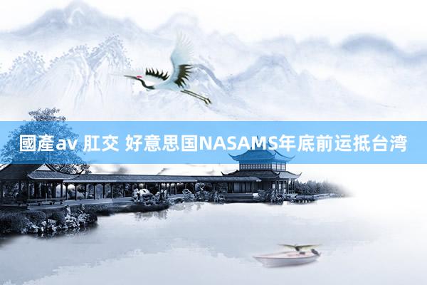 國產av 肛交 好意思国NASAMS年底前运抵台湾
