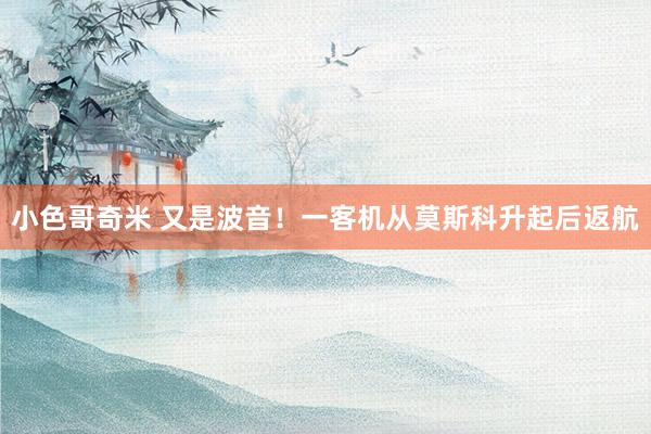 小色哥奇米 又是波音！一客机从莫斯科升起后返航