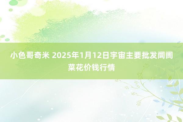 小色哥奇米 2025年1月12日宇宙主要批发阛阓菜花价钱行情