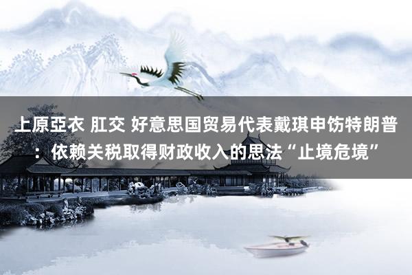 上原亞衣 肛交 好意思国贸易代表戴琪申饬特朗普：依赖关税取得财政收入的思法“止境危境”