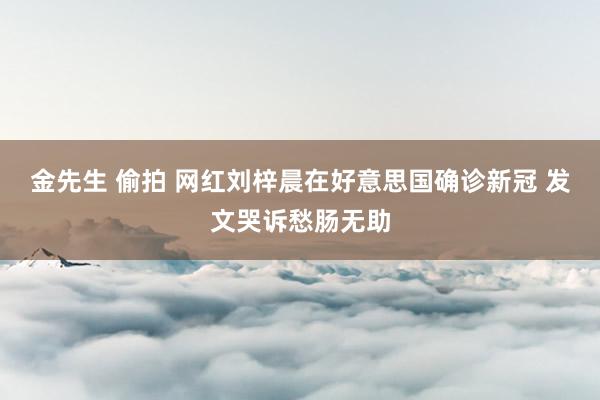 金先生 偷拍 网红刘梓晨在好意思国确诊新冠 发文哭诉愁肠无助