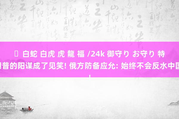 ✨白蛇 白虎 虎 龍 福 /24k 御守り お守り 特朗普的阳谋成了见笑! 俄方防备应允: 始终不会反水中国!