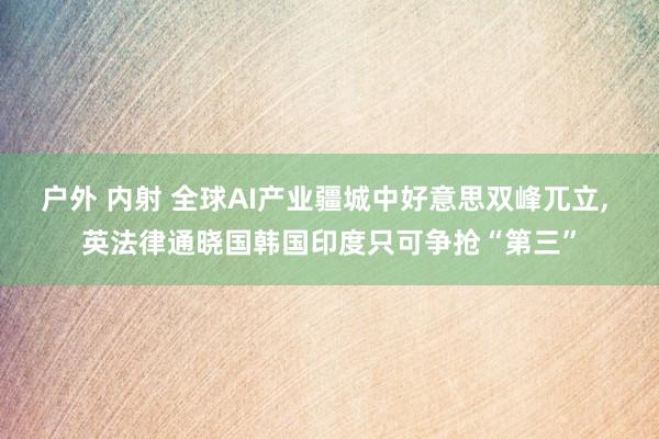 户外 内射 全球AI产业疆城中好意思双峰兀立， 英法律通晓国韩国印度只可争抢“第三”