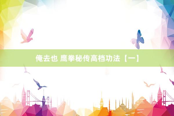 俺去也 鹰拳秘传高档功法【一】