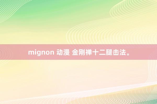 mignon 动漫 金刚禅十二腿击法。