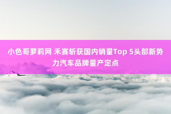 小色哥萝莉网 禾赛斩获国内销量Top 5头部新势力汽车品牌量产定点