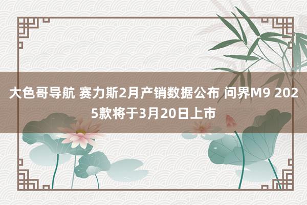 大色哥导航 赛力斯2月产销数据公布 问界M9 2025款将于3月20日上市