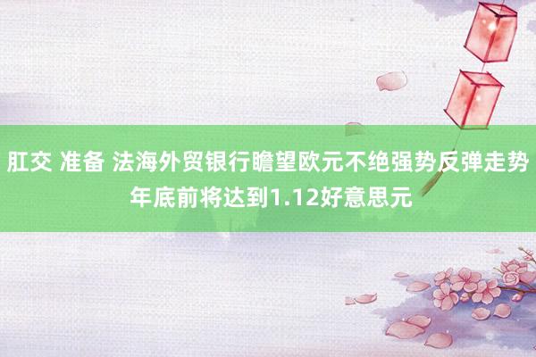 肛交 准备 法海外贸银行瞻望欧元不绝强势反弹走势 年底前将达到1.12好意思元