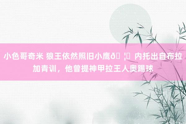 小色哥奇米 狼王依然照旧小鹰🦅内托出自布拉加青训，他曾提神甲拉王人奥踢球