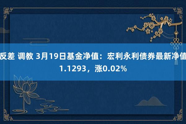 反差 调教 3月19日基金净值：宏利永利债券最新净值1.1293，涨0.02%