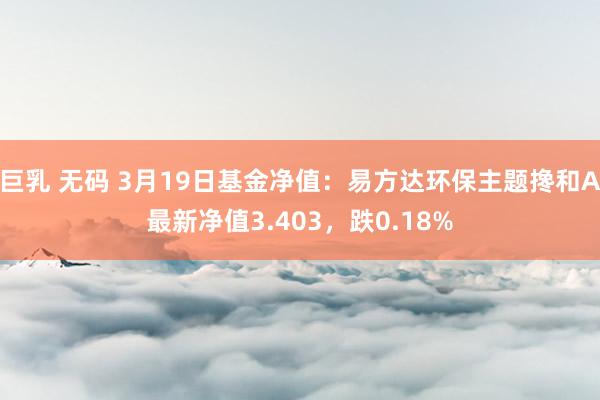 巨乳 无码 3月19日基金净值：易方达环保主题搀和A最新净值3.403，跌0.18%