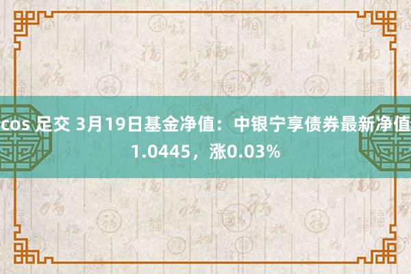 cos 足交 3月19日基金净值：中银宁享债券最新净值1.0445，涨0.03%