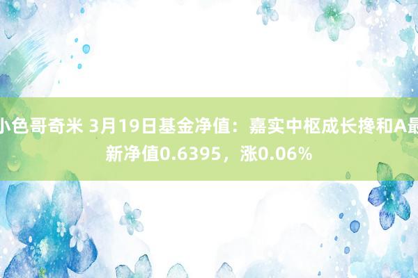 小色哥奇米 3月19日基金净值：嘉实中枢成长搀和A最新净值0.6395，涨0.06%
