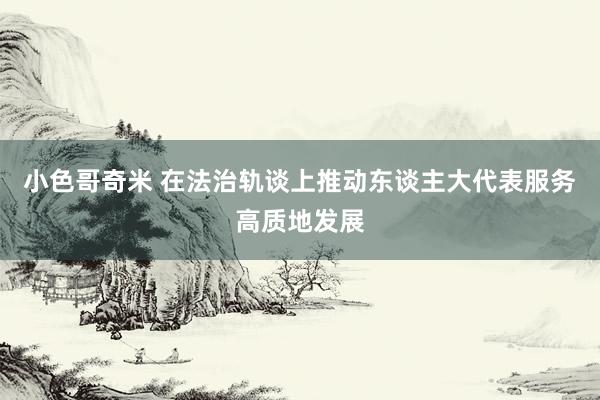 小色哥奇米 在法治轨谈上推动东谈主大代表服务高质地发展