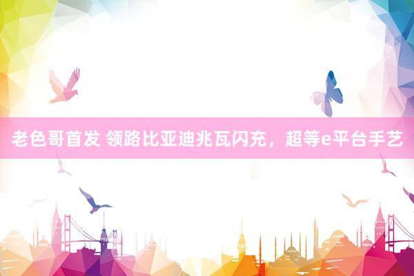 老色哥首发 领路比亚迪兆瓦闪充，超等e平台手艺
