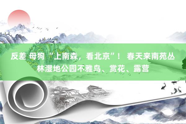 反差 母狗 “上南森，看北京”！ 春天来南苑丛林湿地公园不雅鸟、赏花、露营