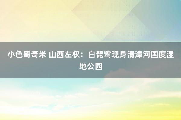 小色哥奇米 山西左权：白琵鹭现身清漳河国度湿地公园