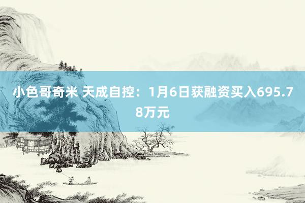 小色哥奇米 天成自控：1月6日获融资买入695.78万元