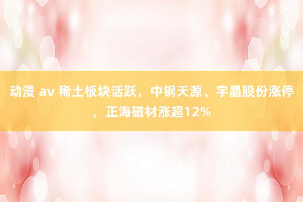 动漫 av 稀土板块活跃，中钢天源、宇晶股份涨停，正海磁材涨超12%