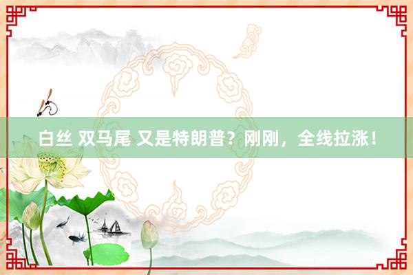 白丝 双马尾 又是特朗普？刚刚，全线拉涨！