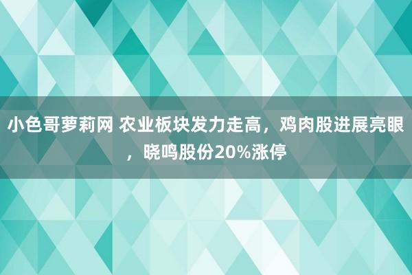 小色哥萝莉网 农业板块发力走高，鸡肉股进展亮眼，晓鸣股份20%涨停