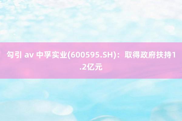 勾引 av 中孚实业(600595.SH)：取得政府扶持1.2亿元