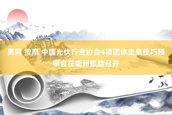 男同 按摩 中国光伏行业协会4项团体圭臬技巧预审会在衢州凯旋召开