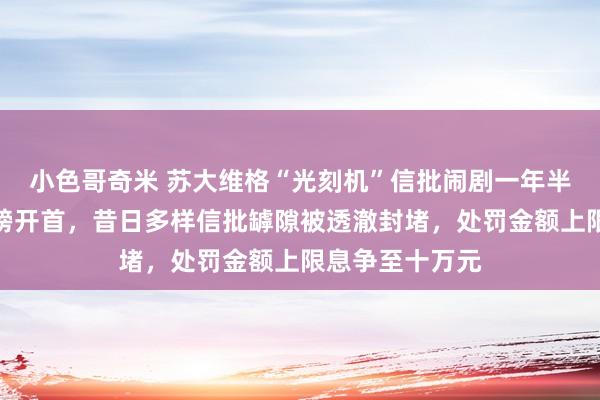 小色哥奇米 苏大维格“光刻机”信批闹剧一年半后，证监会重磅开首，昔日多样信批罅隙被透澈封堵，处罚金额上限息争至十万元