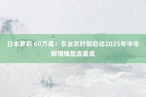 日本萝莉 60万尾！农业农村部启动2025年中华鲟增殖放流看成